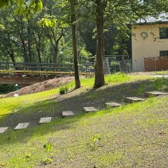Einstiegezone Kurpark Gemünd