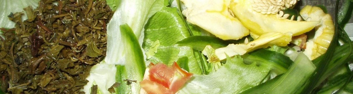 Umgang mit der Biotonne Umgang mit der Biotonne