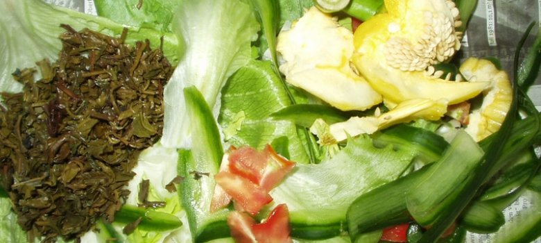 Umgang mit der Biotonne Umgang mit der Biotonne