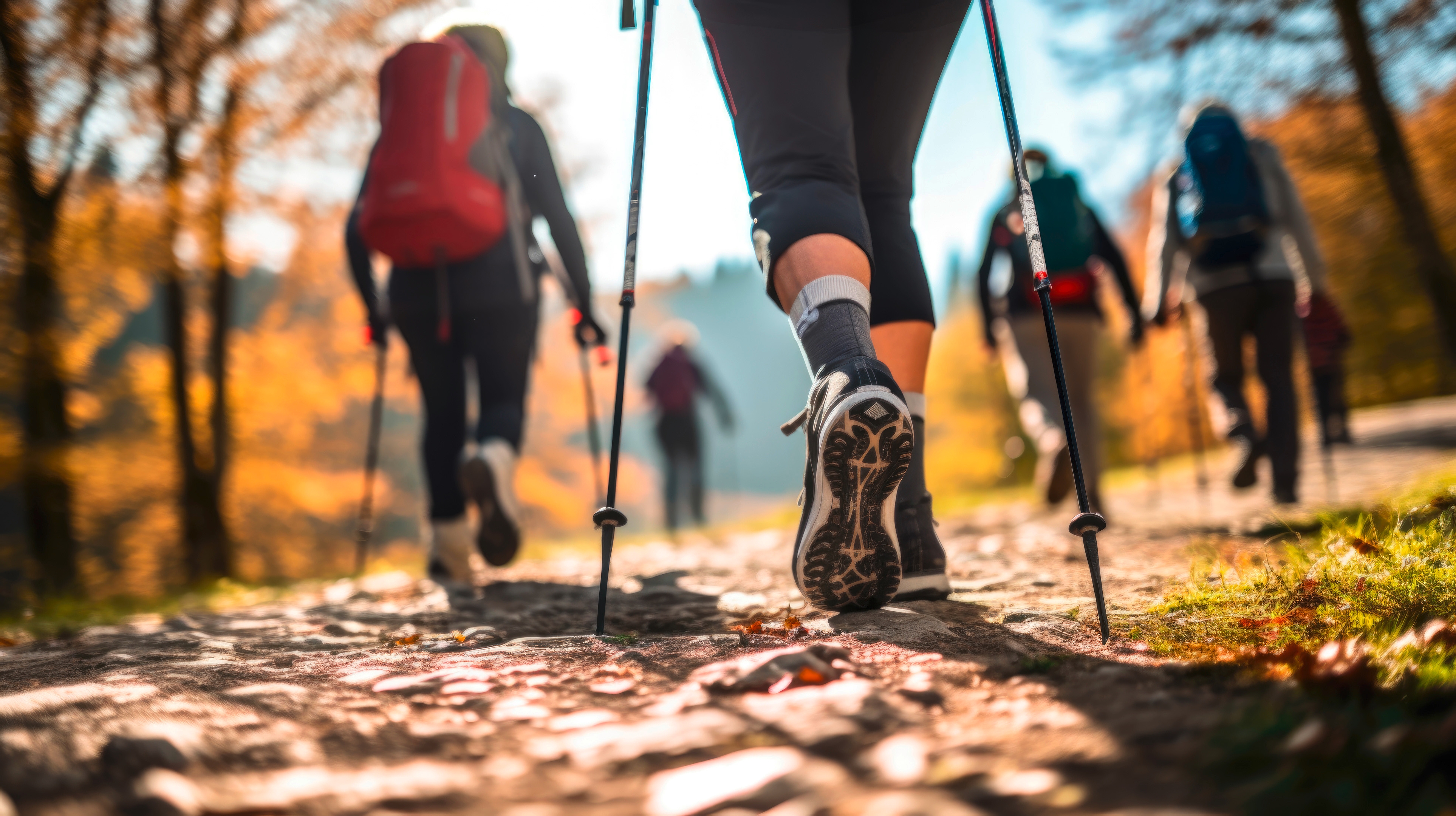 Nordic-Walking Gruppe; Detailaufnahme.