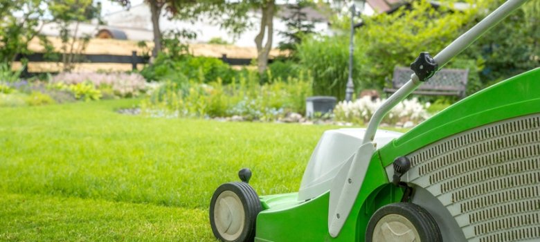 Rasenmäher Rasenmäher