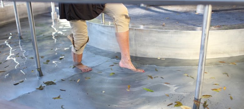 Wassertreten im Gemünder Kurpark