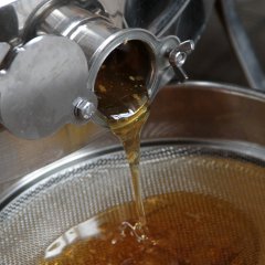 Darauf haben alle lange gewartet: Die ersten Tropfen Honig treten ans Licht. 