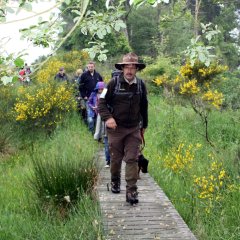 Mit dem Ranger durch den Nationalpark Eifel
