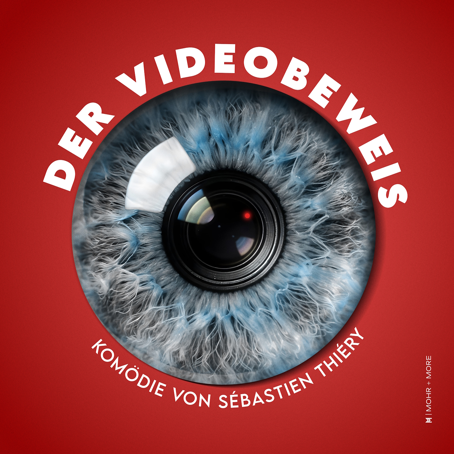 Der Videobeweis Der Videobeweis