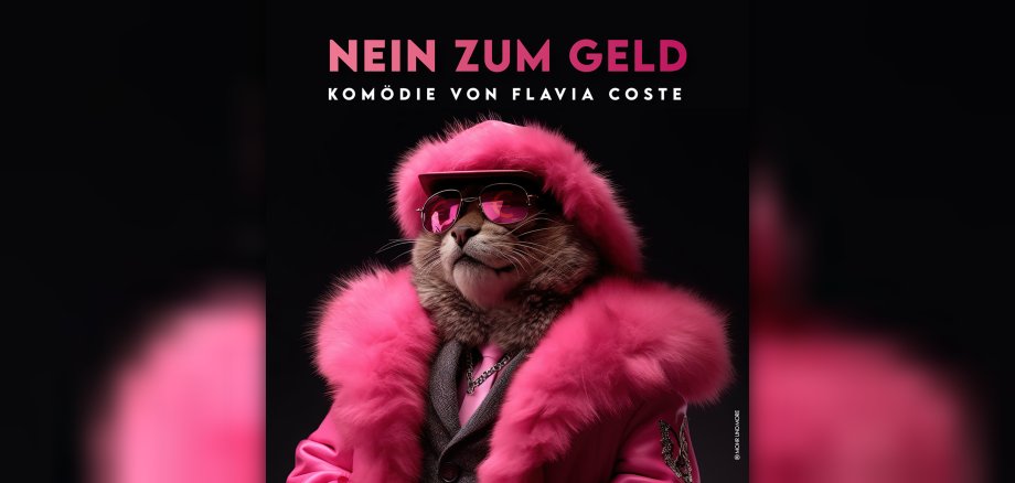 Nein zum Geld
