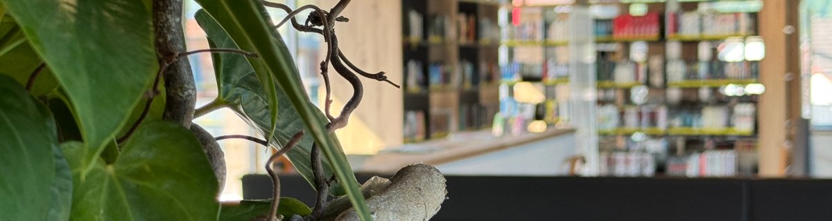 Innenansicht Stadtbibliothek Treppenaufgang